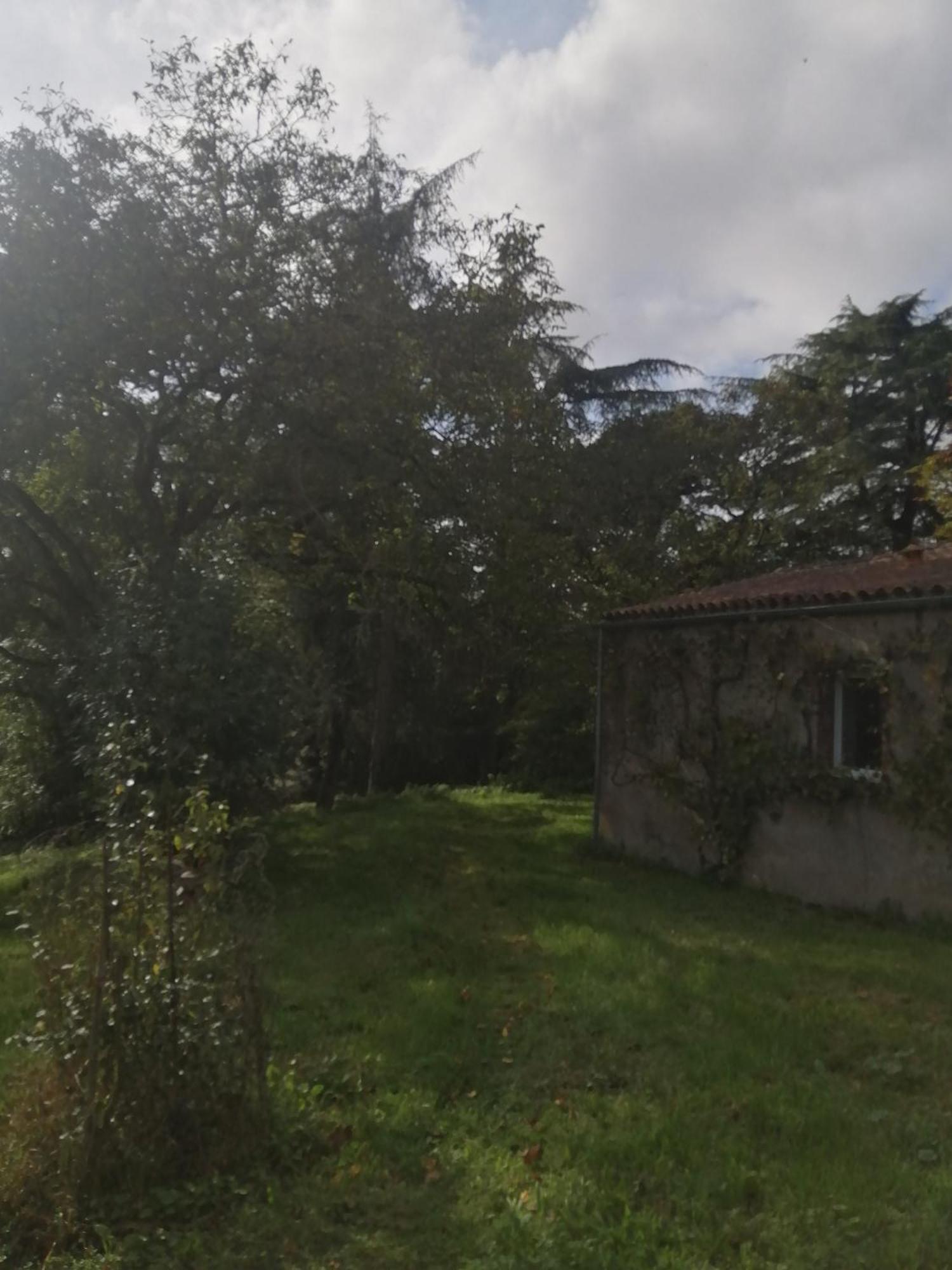 Gite De La Rochejaquelein Saint-Fulgent Exterior foto